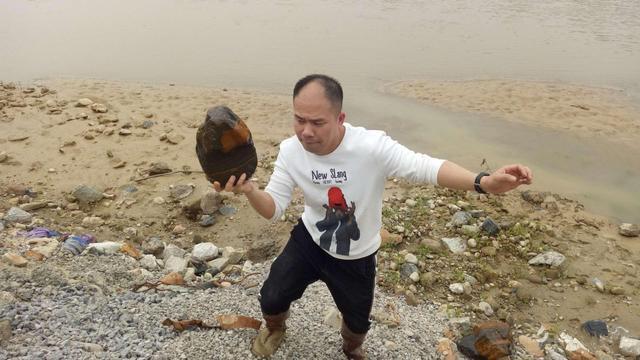 奇形怪状|家乡河里有许多奇形怪状的石头,父子俩请挖机拖了满满7车回家!