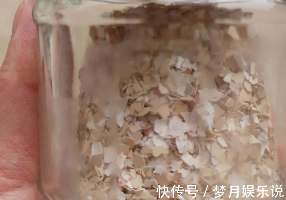 将蛋壳直接倒扣在土壤里养花,光招虫没肥效,做错了吗?