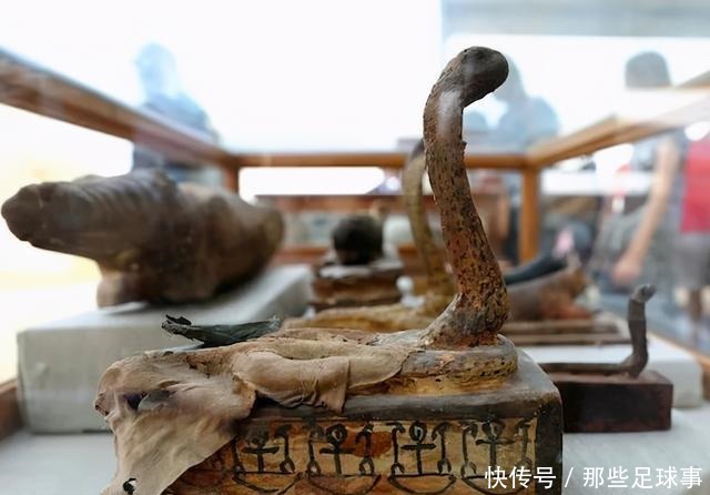 埃及|当众“开棺验尸”!埃及公布年度考古大发现!