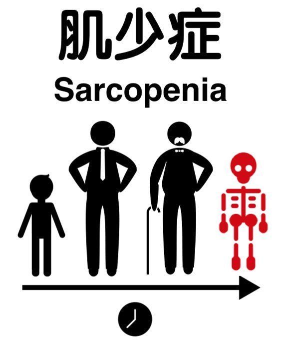 肌少症|腿粗点是好事？！趁年轻多囤点这种肉肉吧