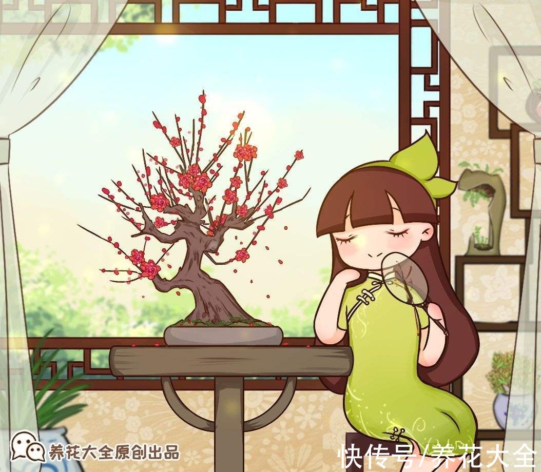 想要家中多贵气,当然要养岁寒三友,冬天养更合适