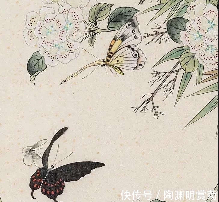 夜静#月落星稀到天明,夜凉如水露晶莹