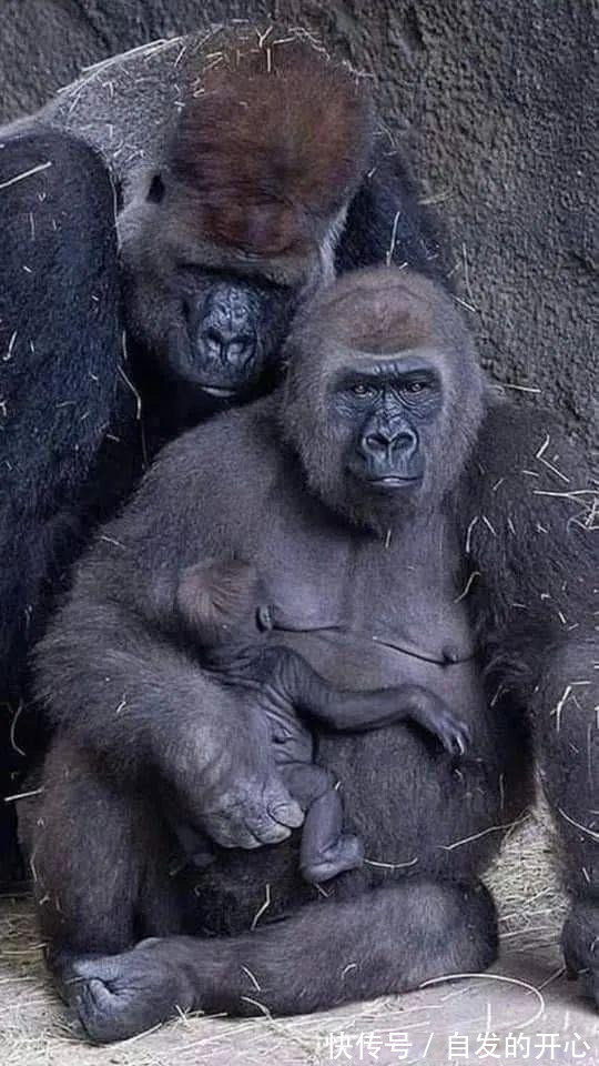 |「被窝段子20220131」生活嘛 慢慢来 所有的好运都在路上