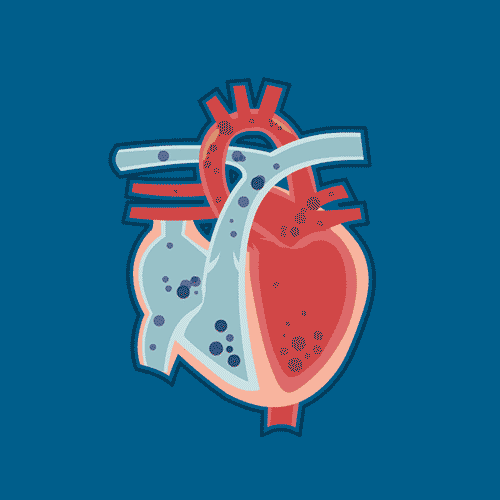 血液|你的心脏还能跳多久？