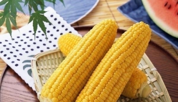 玉米能不能代替主食经常有人吃玉米减肥,每天吃对身体是好是坏
