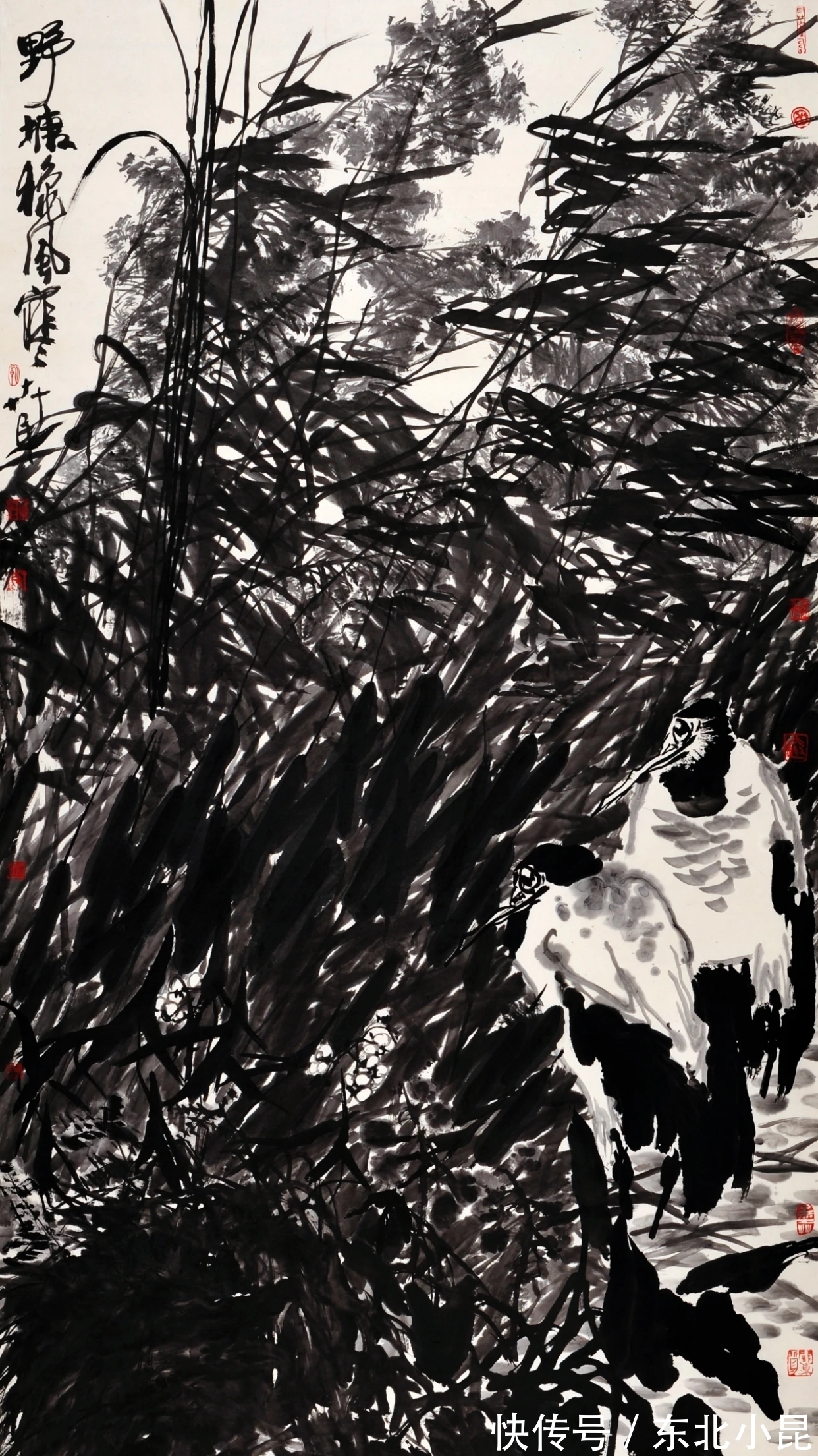 大写意@高卉民|北方大写意花鸟画领军人