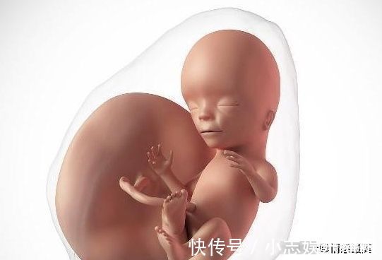 小暴君|怀孕期间, 你知道孕妈熬夜玩手机时, 腹中的“胎宝”在干什么