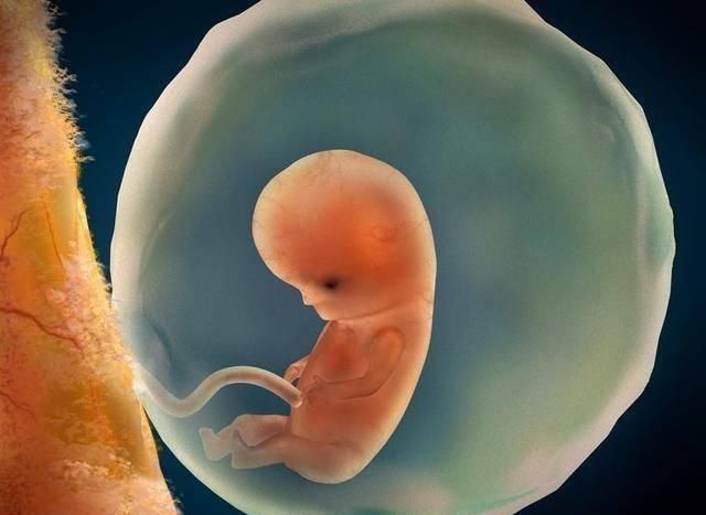 孕早期，孕妈第一次产检，如果三个指标合格，恭喜你，胎儿很健康