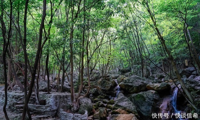 望月山|南漳行｜八百里山清水秀，千百年文化传奇