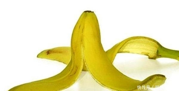 香蕉皮|吃剩的香蕉皮千万别扔,埋在花盆里,花会开的更加鲜艳动人!