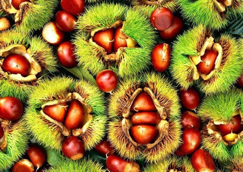 粮谷类|栗子和此物一起煮,失眠好了,大肚子平了,不想每天疲惫不堪试试