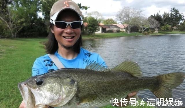 鱼贩|买鲈鱼，认准大的你就得吃亏，学会这3招，鱼贩都忍不住夸你内行！