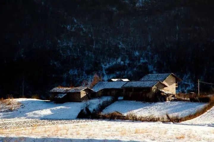 1小时飙拢！去重庆看雪！云海雪山森林，下山还能泡温泉！