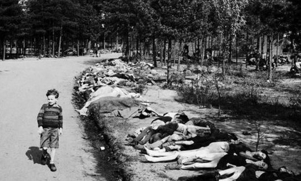 不到|小女孩将被活埋,她对纳粹士兵说请埋浅一点,我怕妈妈找不到!最后结果怎样