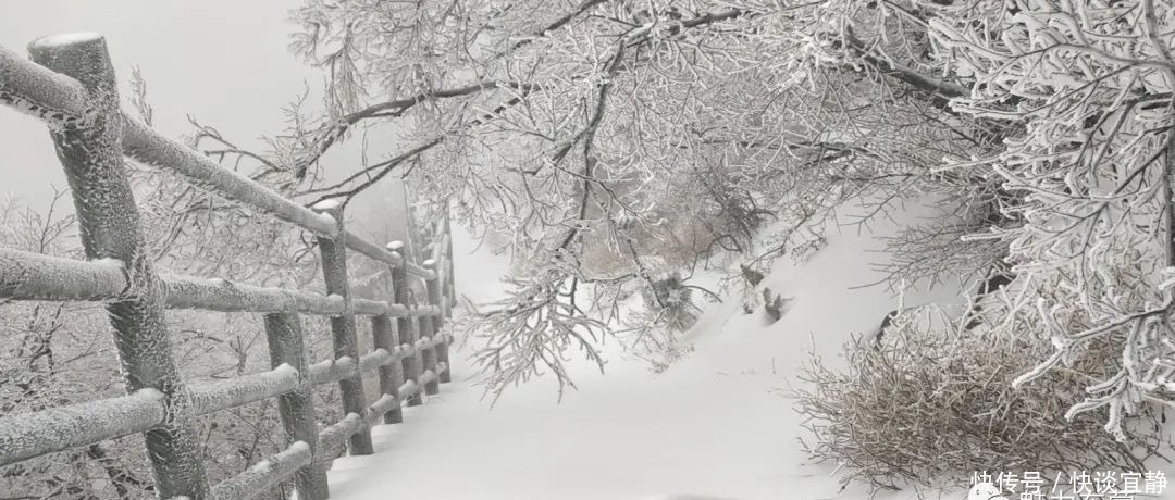 中年|难得一见的春日雪景，美到心醉！