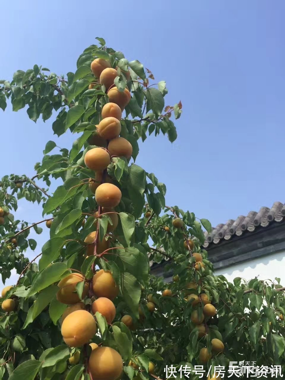 阳光城|北京密云热门楼盘项目现场传来一批新照片，请查收