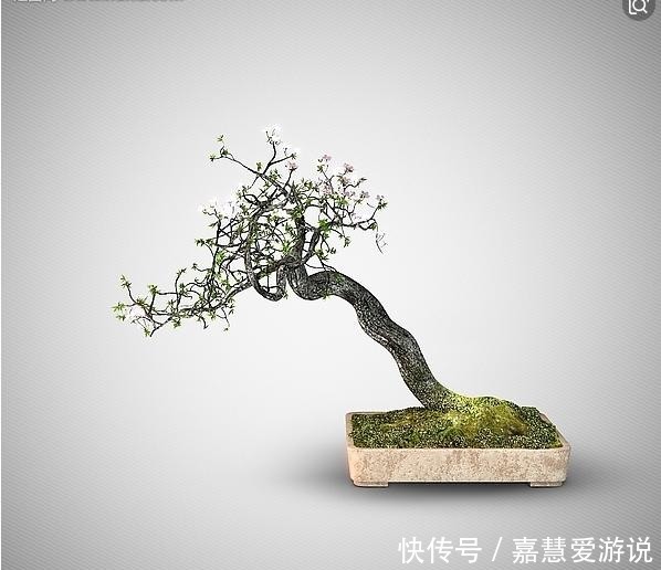 越长越|它是养花的宝贝,有“四大”好处,怪不得花越长越旺