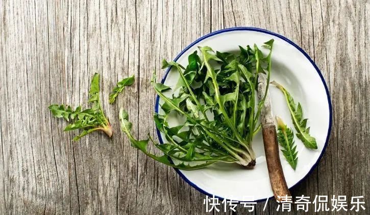 蒲公英根|春天，蒲公英，浑身是宝，对人体有4大好处，但3类人不宜吃