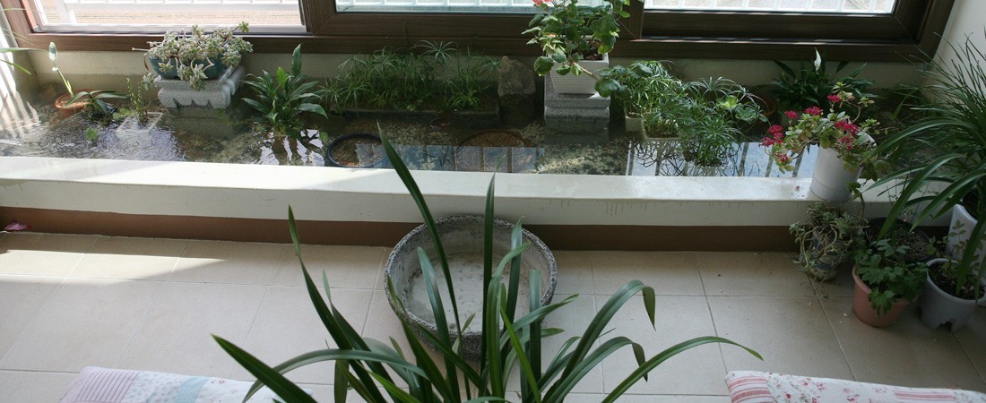 防水|住高层这么干，阳台窗前20公分，用红砖围一圈水池，养鱼种花都好