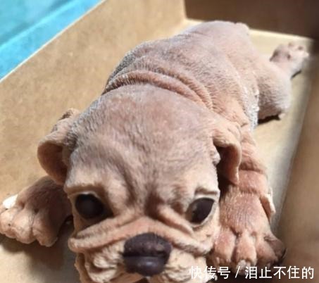 盘点“最短命”的4种网红零食,从爆火到无人问津,命运如此相似