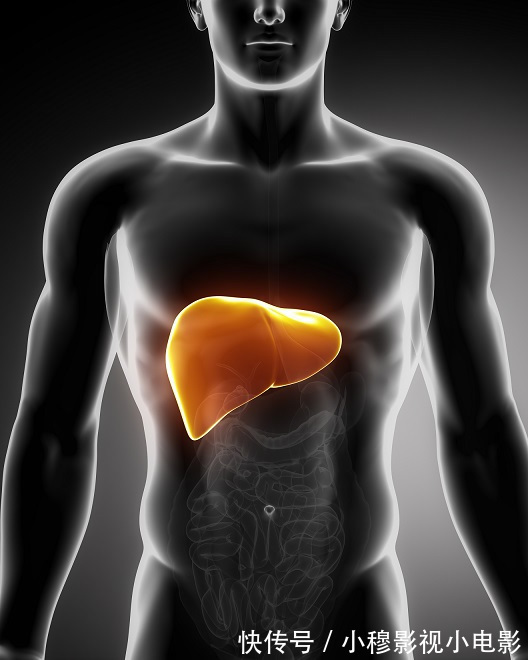 肝脏|身体出现这6个症状，说明你的肝要坏！