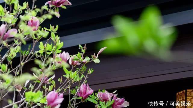 建发|20个新中式庭院,让诗与远方从这里走进我们的生活