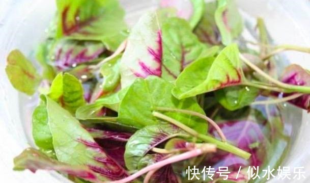 营养素|多吃4种菜, 钙含量比牛奶还高, 一分钱都不用花