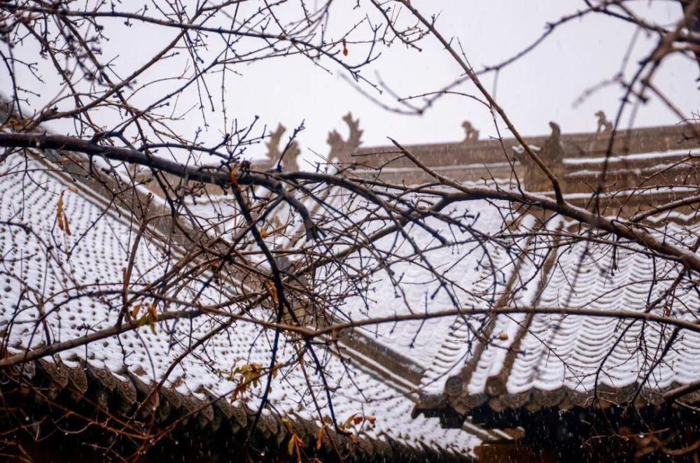 谢建国|冬日时光，看一场雪后初霁孟津静美如画！