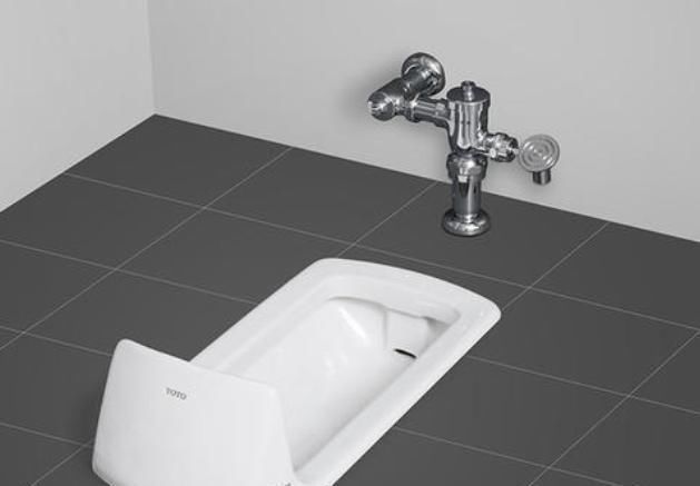 房子|现在的年轻人装修房子,卫生间不再安装马桶,而是装它,干净多了