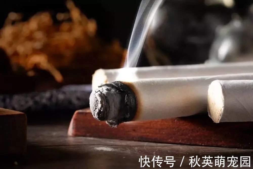 艾灸|睡觉要不要开窗户？90%的人都做错了！听知名老中医的建议和方法