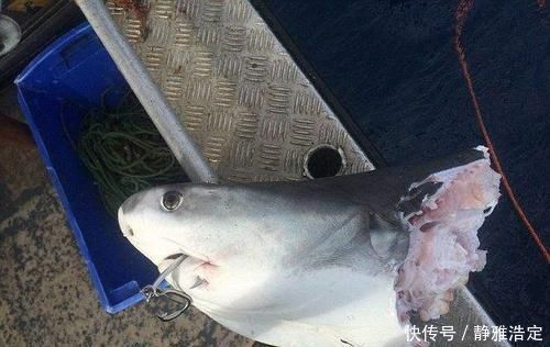 中国居民膳食指南|3种鱼不能买,对身体健康“有害”,营养师提醒:再便宜也不能吃