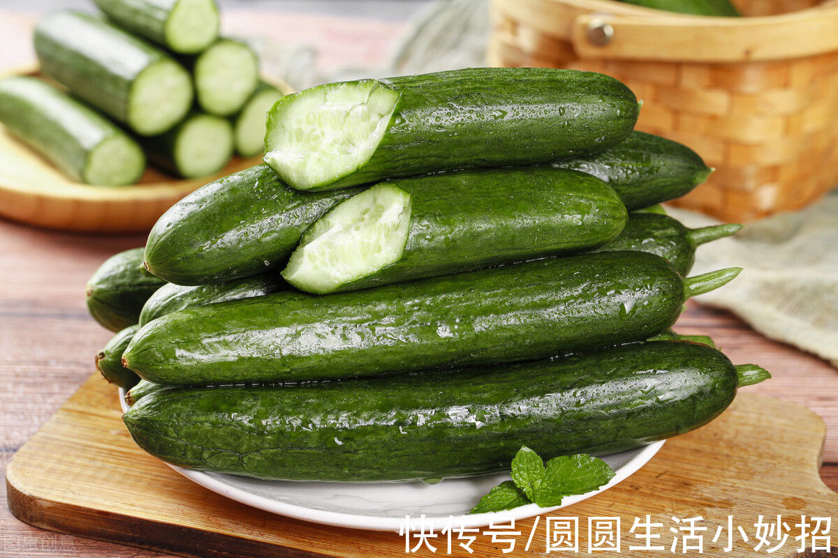 黄瓜|黄瓜打了激素如何辨别？老菜农：有这5点特征不要买，会吃坏肚子