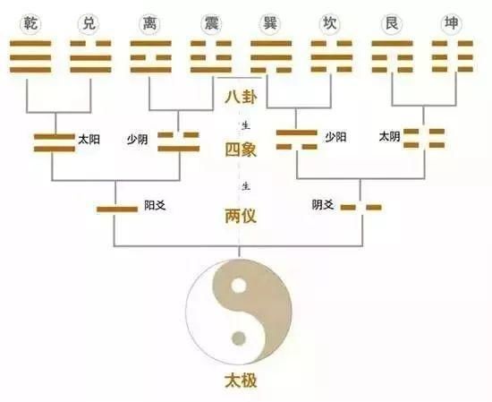  过于强势就|中国文化最深邃神奇的八个汉字，乾、坤、震、巽、坎、离、艮、兑。