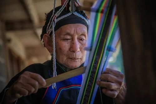 二月二·畲乡盘歌会——在畲寨东弄听茶歌，吃茶宴...