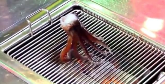 鲍鱼|烧烤架上几种“最调皮”生物,鱿鱼烤着烤着起来了,你吃得下几种