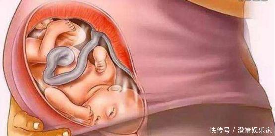 宝宝是怎么被慢慢孕育出来的,十张过程图,一切来之不易