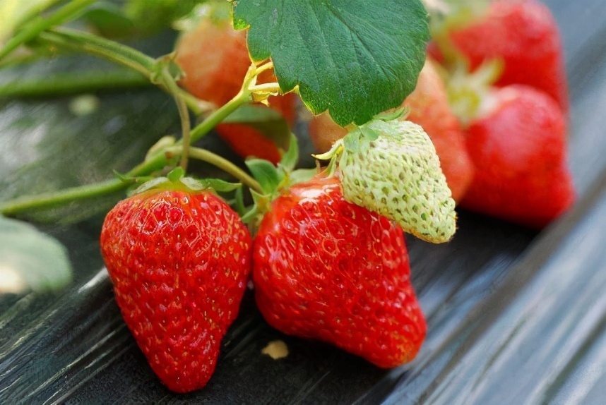 丑柑|女性到了中年，推荐3种食物，降压降脂，排毒抗衰，改善体质