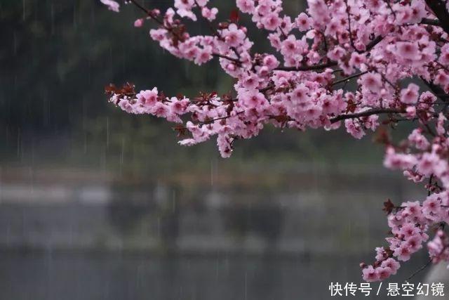 积雨#3首写景的千古名作,各有一个千古名句,第一首曾被誉为七律压卷