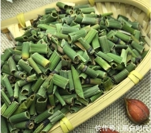 土麻黄|十个男人九个有脚气,农村此种野草遇见拔回家,远离脚气脚臭