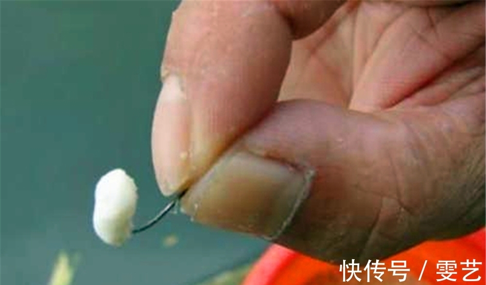 民间野钓大鲫鱼的4种方法,窝中鱼越钓越多,正适合仲春使用!