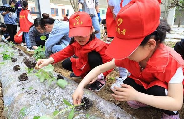 小学生作文《我想换个爸爸》走红，没有华丽辞藻，却感动千万网友