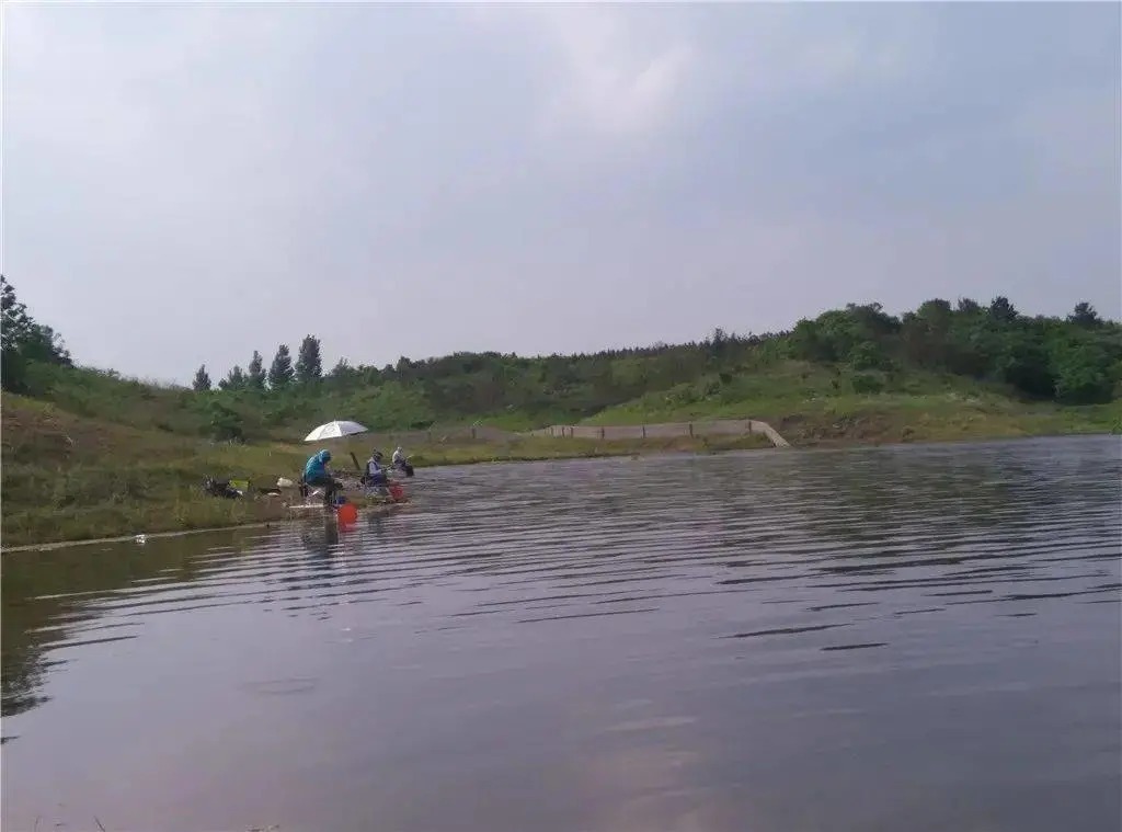 钓鱼最实用的5个技巧,想爆护其实并没有那么难!