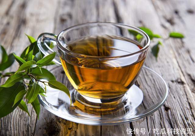 山茶油|除了橄榄油和山茶油,茶叶籽油那个最受瞩目