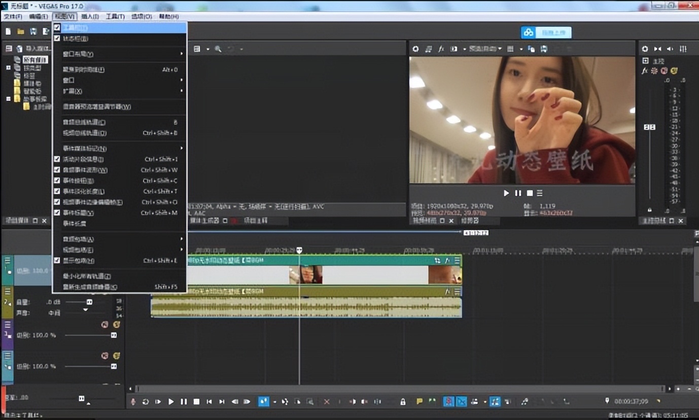 非线性编辑软件Vegas Pro 17中文破解版-423下载站