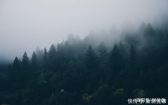 双鱼座|“智者互助，愚者互害”，这些星座的智商高，但不明显