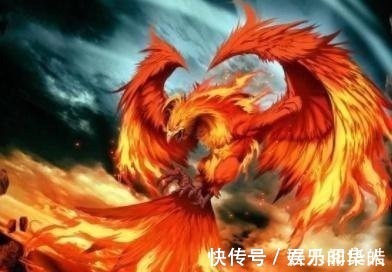 鸾鸟&山海经中发现有关上古凤凰神山的离奇记载,那里到底隐藏什么秘密!