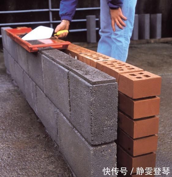 种菜|光秃秃院子太浪费,农村老爸用18块空心砖,改造成人见人爱的菜园