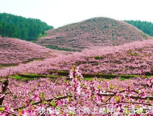 钱财花|到了2021年，4属相吉星降临，运势上上吉，生活幸福美满