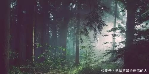 12句民间俗语，暗藏玄机，大有智慧