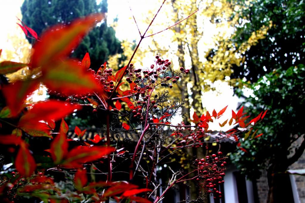  记住|记住乡愁栏目摄制组一行走进陶渊明纪念馆